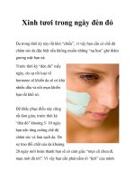 Xinh tươi trong ngày đèn đỏ ppt