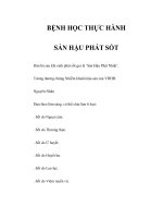 BỆNH HỌC THỰC HÀNH - SẢN HẬU PHÁT SỐT ppsx