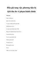 Đấu giá tang vật, phương tiện bị tịch thu do vi phạm hành chính potx