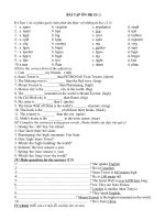 ôn tập Anh văn HK II