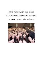 CÔNG TÁC QUẢN LÝ ĐỰC GIỐNG NÂNG CAO CHẤT LƯỢNG VÀ HIỆU QUẢ KINH TẾ TRONG CHĂN NUÔI LỢN docx