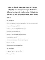 Thẩm tra cấp giấy chứng nhận đầu tư tại Khu công nghiệp Việt Nam-Singapore cho dự án đầu tư thuộc thẩm quyền chấp thuận của Thủ tướng Chính phủ gắn với thành lập công ty TNHH một thành viên là cá nhân pot