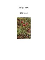 DƯỢC HỌC - BỐI MẪU pot