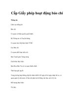 Cấp Giấy phép hoạt động báo chí pdf