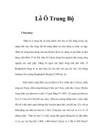 Lồ Ô Trung Bộ doc