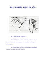 PHÁC ĐỒ ĐIỀU TRỊ ÁP XE NÃO pptx