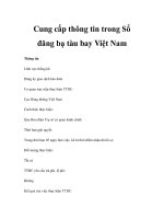 Cung cấp thông tin trong Sổ đăng bạ tàu bay Việt Nam pdf