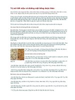 Trị sỏi tiết niệu và đường mật bằng dược thảo ppt