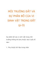 MÔI TRƯỜNG ĐẤT VÀ SỰ PHÂN BỐ CỦA VI SINH VẬT TRONG ĐẤT (p-3) doc