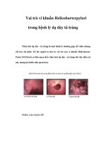 Vai trò vi khuẩn Helicobarterpylori trong bệnh lý dạ dày tá tràng Viêm loét dạ dày doc