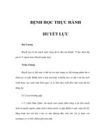BỆNH HỌC THỰC HÀNH - HUYẾT LỰU pptx