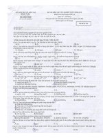 Đề thi thử TN 2010 - Hóa 210