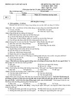 Đề thi HK2 Văn 9