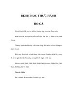 BỆNH HỌC THỰC HÀNH - HO GÀ ppsx