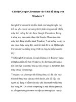 Cài đặt Google Chromium vào USB để dùng trên Windows 7 potx