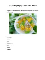 Lạ mắt lạ miệng: Canh sườn hoa bí pdf