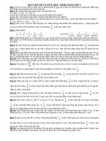 BÀI TẬP ÔN HSG TOÁN 4 (P1)