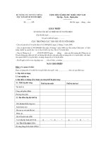 Mẫu giấy phép sử dụng tần số và thiết bị vô tuyến điện docx