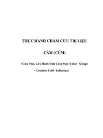 THỰC HÀNH CHÂM CỨU TRỊ LIỆU CẢM (CÚM) (Cảm Mạo, Lưu Hành Tính Cảm Mạo (Cúm) ppt