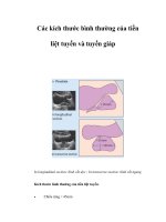 Các kích thước bình thường của tiền liệt tuyến và tuyến giáp pdf