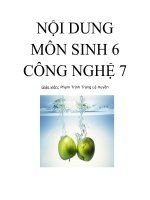 Kế hoặc môn CN 7