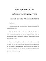 VIÊM ĐẠI TRƯỜNG MẠN TÍNH (Chronic Enteritis - Chronique Entérite) potx