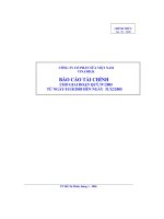 Báo cáo tài chính cho giai đoạn quý doc