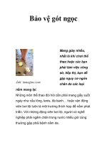 Bảo vệ gót ngọc doc