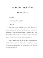 BỆNH HỌC THỰC HÀNH - BỆNH VỀ TAI potx