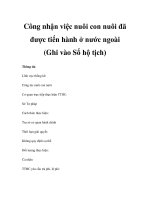 Công nhận việc nuôi con nuôi đã được tiến hành ở nước ngoài (Ghi vào Sổ hộ tịch) pptx