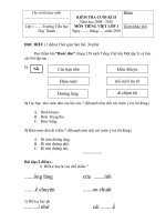 đề thi Tiếng Việt HKII lớp 1-5