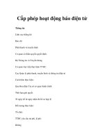 Cấp phép hoạt động báo điện tử potx