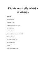 Cấp bản sao các giấy tờ hộ tịch từ sổ hộ tịch pps