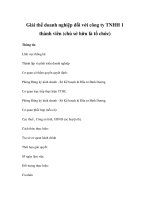 Giải thể doanh nghiệp đối với công ty TNHH 1 thành viên (chủ sở hữu là tổ chức) potx