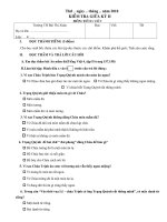 Đề Kiểm tra giũa HKII