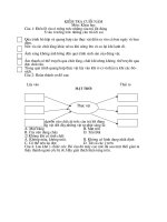 kiem tra khoa cuoi nam