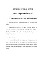 BỆNH HỌC THỰC HÀNH - ĐỘNG MẠCH VIÊM TẮC pptx