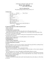 mẫu BC thành tích