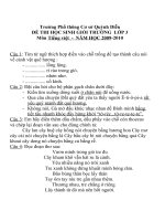 Đề thi Học sinh giỏi trường môn Tiếng Việt năm 2009-2010