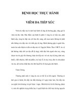 BỆNH HỌC THỰC HÀNH - VIÊM DA TIẾP XÚC ppt