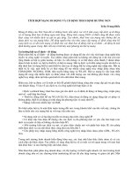 TÍCH HỢP MẠNG DI ĐỘNG VÀ CỐ ĐỊNH THEO ĐỊNH HƯỚNG NGN