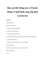 Báo cáo Bộ Thông tin và Truyền thông về tình hình cung cấp dịch vụ Internet pot