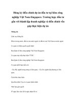 Đăng ký điều chỉnh dự án đầu tư tại Khu công nghiệp Việt Nam-Singapore. Trường hợp: đầu tư gắn với thành lập doanh nghiệp và điều chỉnh vốn góp thực hiện dự án doc