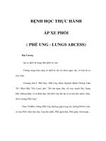 BỆNH HỌC THỰC HÀNH - ÁP XE PHỔI pps