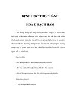BỆNH HỌC THỰC HÀNH - HOA Ế BẠCH HÃM ppsx