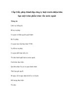 Cấp Giấy phép thành lập công ty luật trách nhiệm hữu hạn một trăm phần trăm vốn nước ngoài pptx