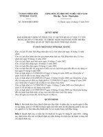 QUYẾT ĐỊNH Số: 30/2010/QĐ-UBND doc