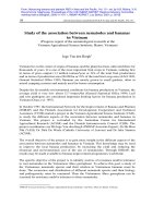 Advancing banana and plantain R & D in Asia and the Pacific ppsx