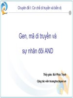 Gen, mã di truyền và sự nhân đôi AND pot