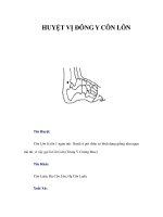 HUYỆT VỊ ĐÔNG Y CÔN LÔN ppsx